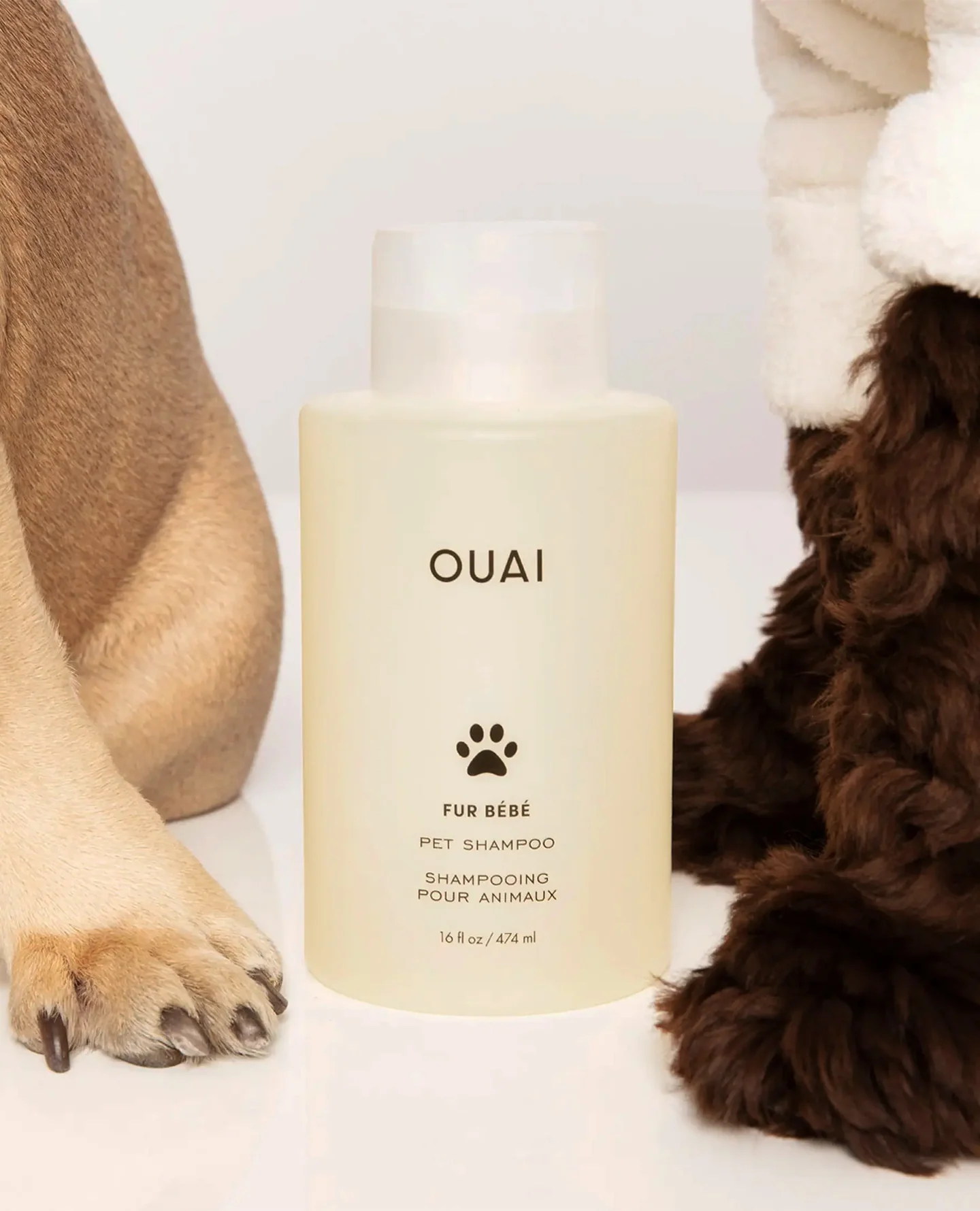 Fur Bébé