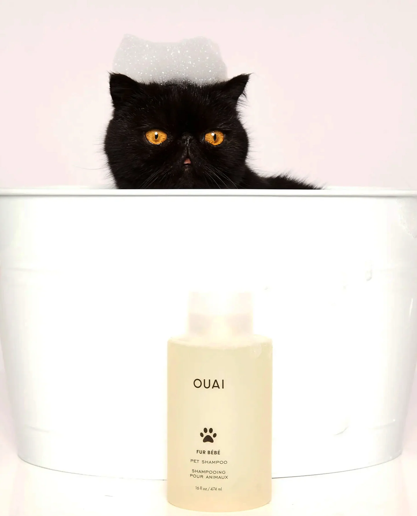 Fur Bébé