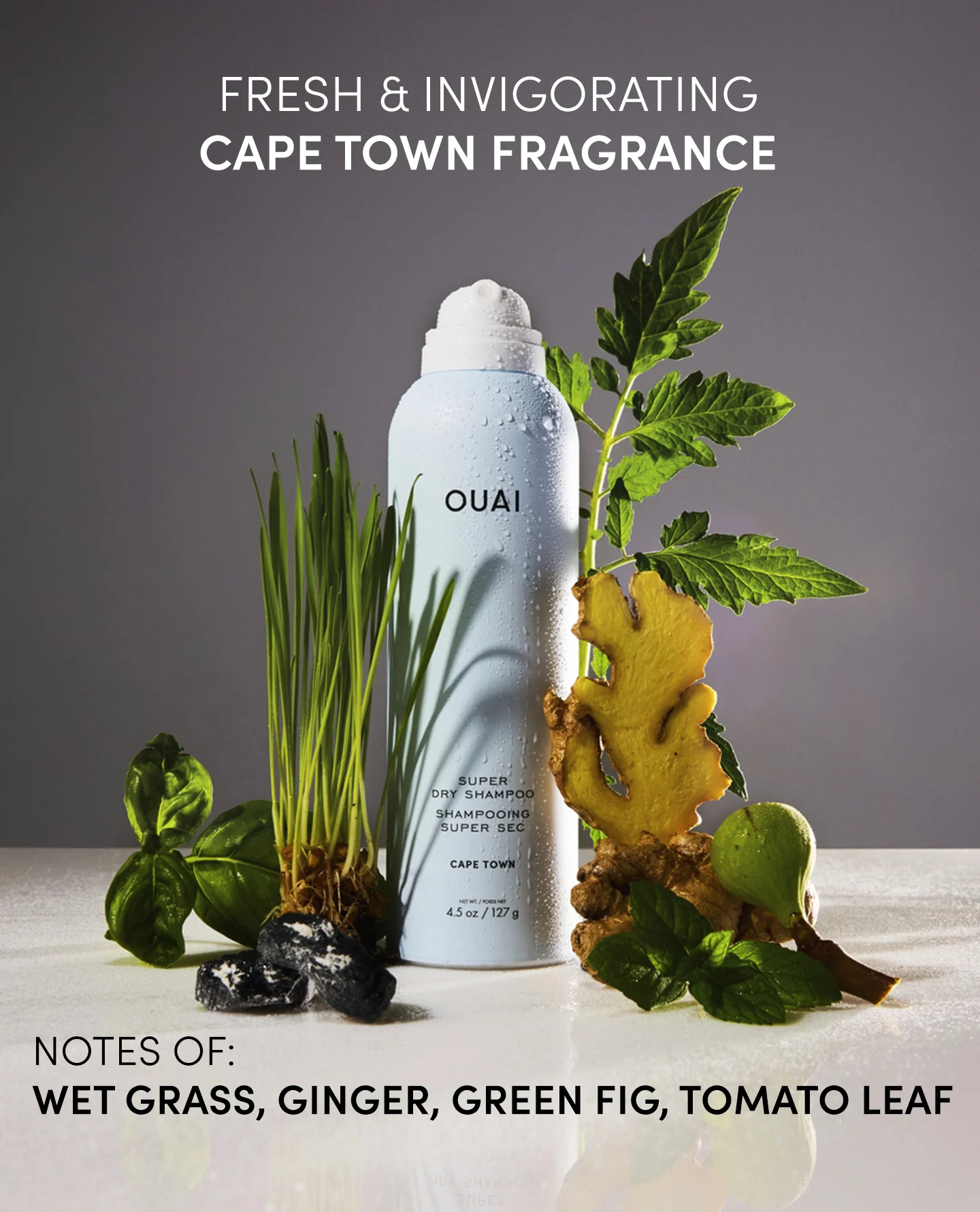 Super Dry Shampoo Cape Town