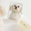 Fur Bébé