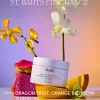 Scalp & Body Scrub St. Barts Scent - Travel