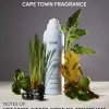 Super Dry Shampoo Cape Town - Travel