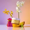 Body Crème St. Barts Scent - Travel