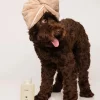 Fur Bébé