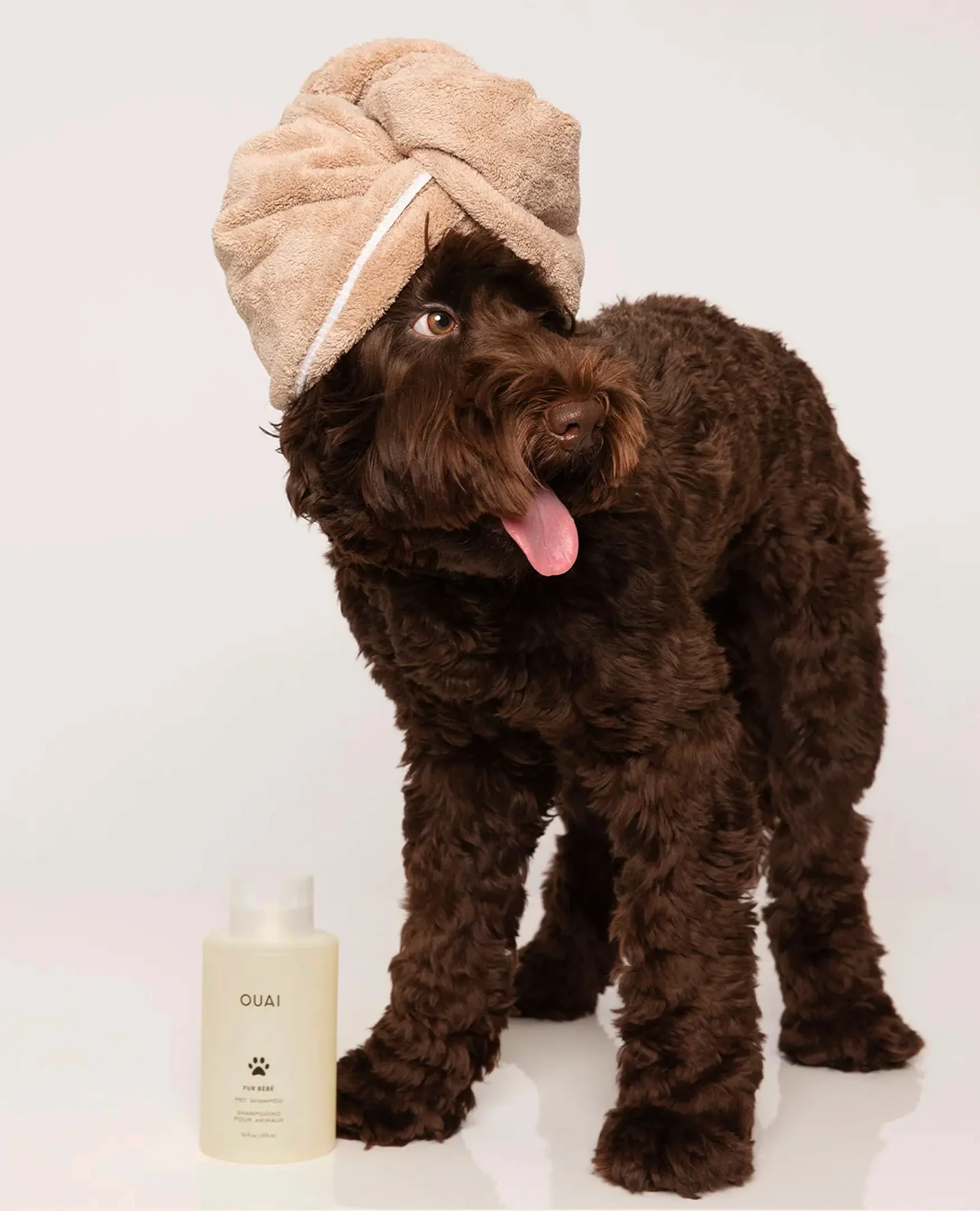 Fur Bébé